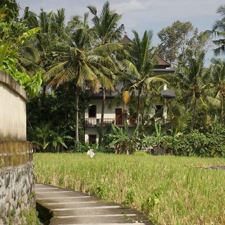 Eden House Ubud Extérieur photo