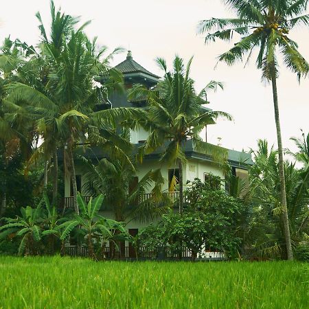 Eden House Ubud Extérieur photo