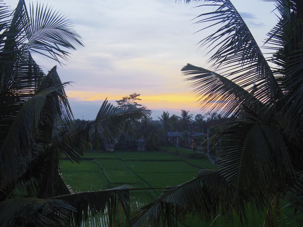 Eden House Ubud Extérieur photo