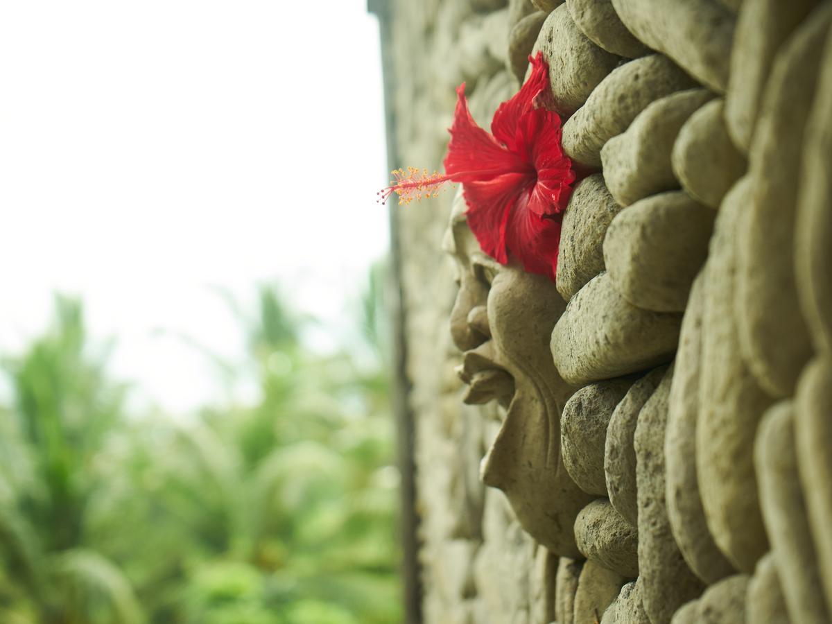 Eden House Ubud Extérieur photo