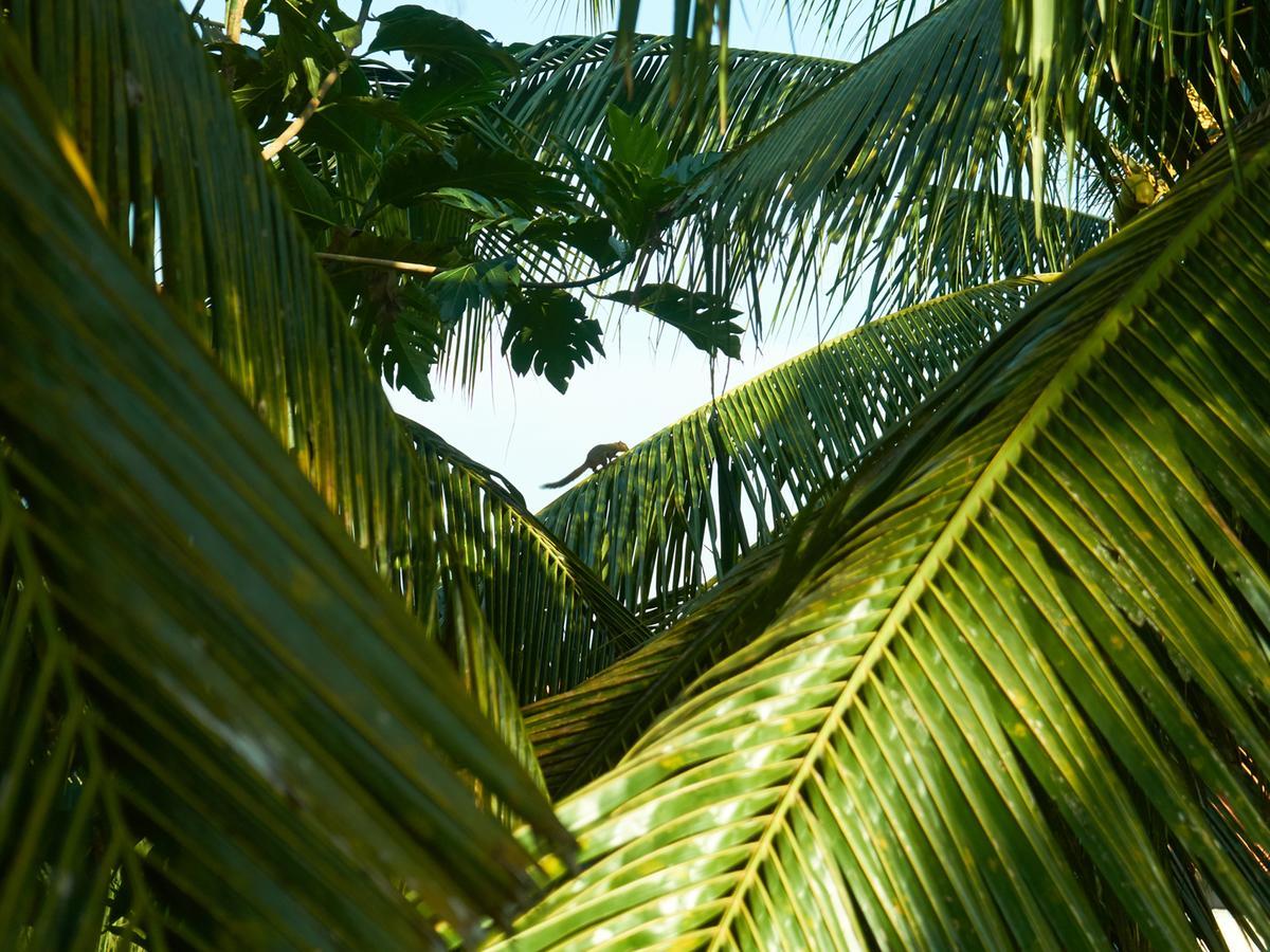 Eden House Ubud Extérieur photo